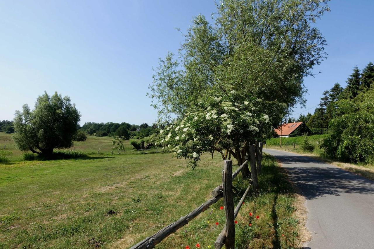 Ferienwohnung Mit Terrasse Gustow  Kültér fotó